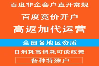SEM专员的角色与成功案例解析